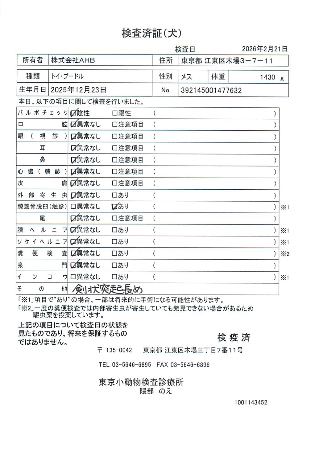 トイ・プードル