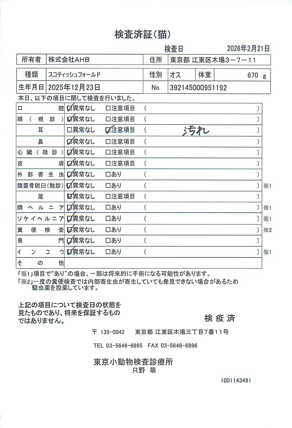 スコティッシュフォールド