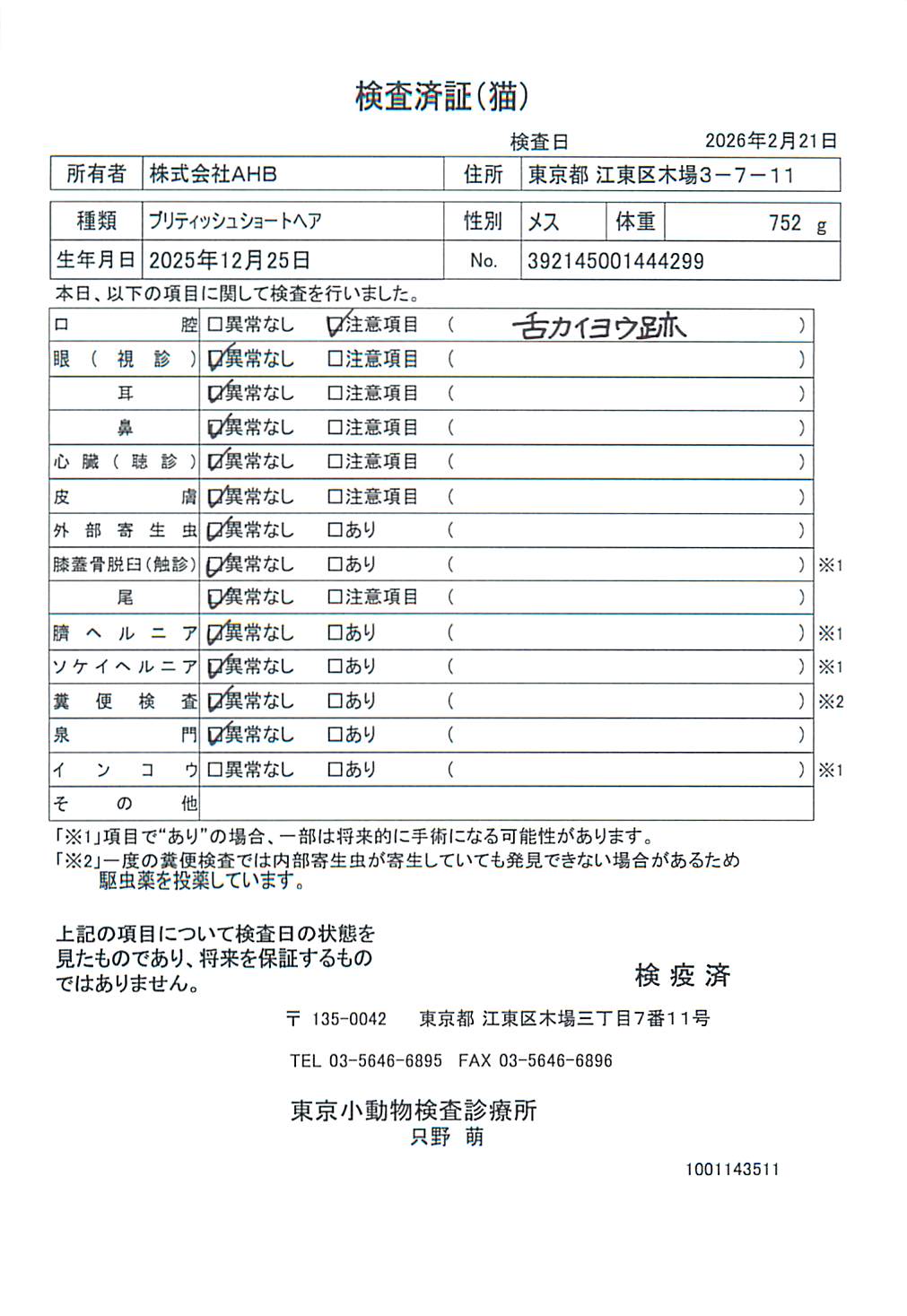 ブリティッシュショートヘア
