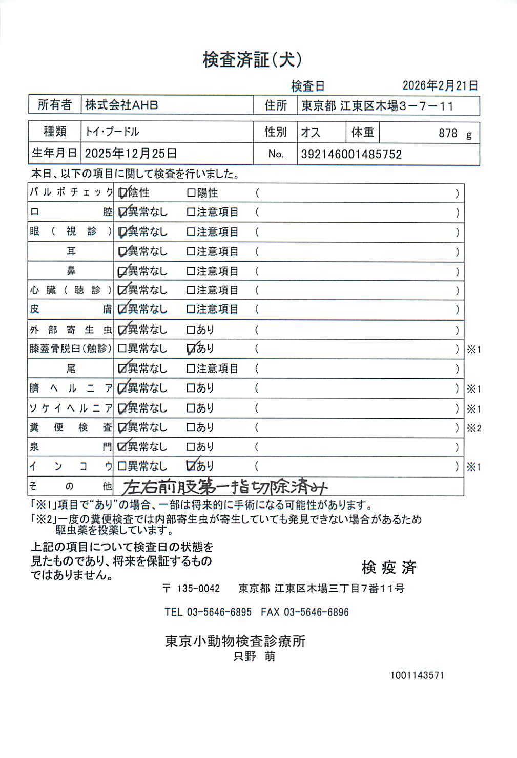 トイ・プードル