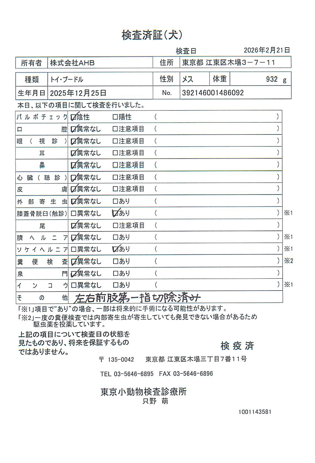トイ・プードル