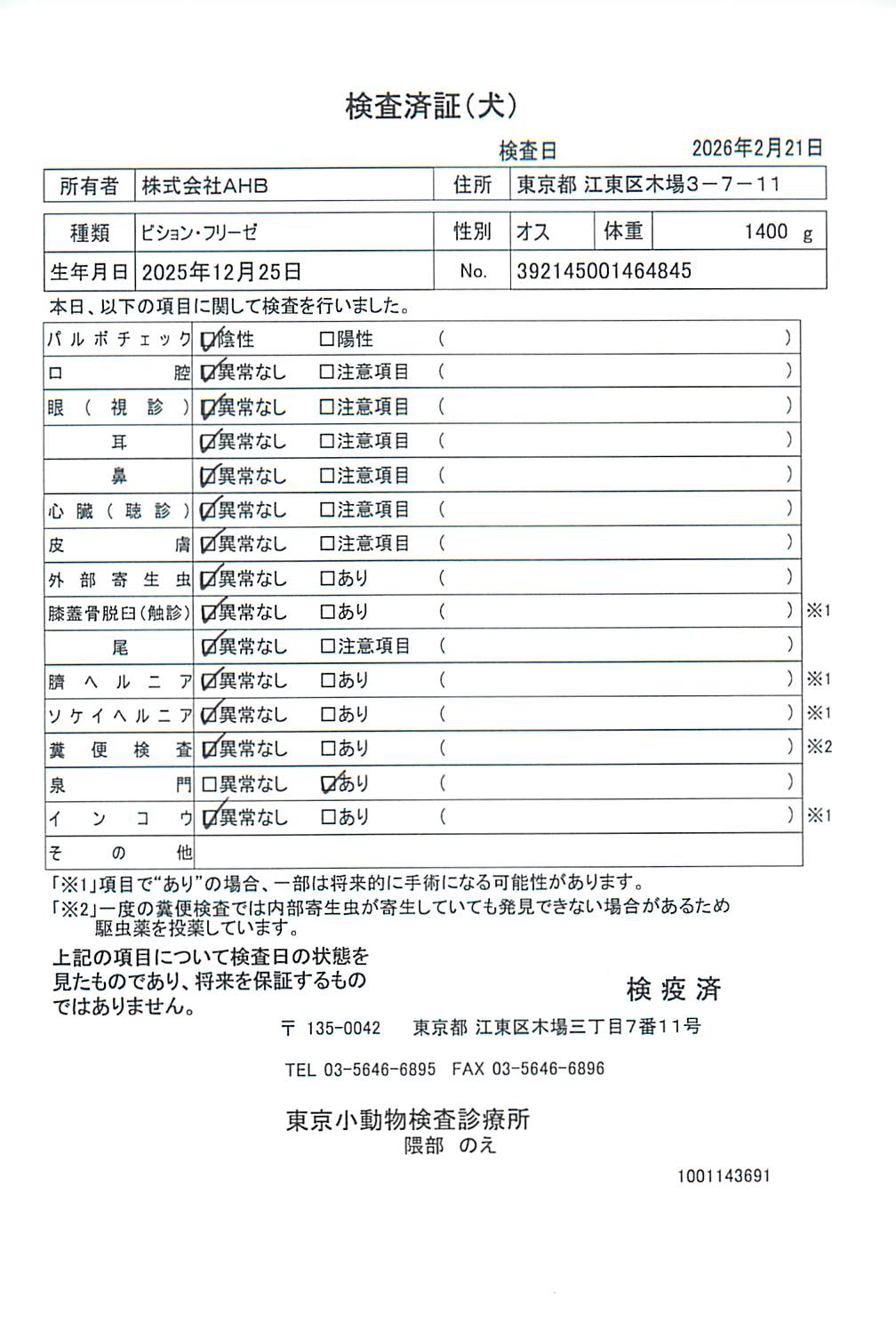ビション・フリーゼ