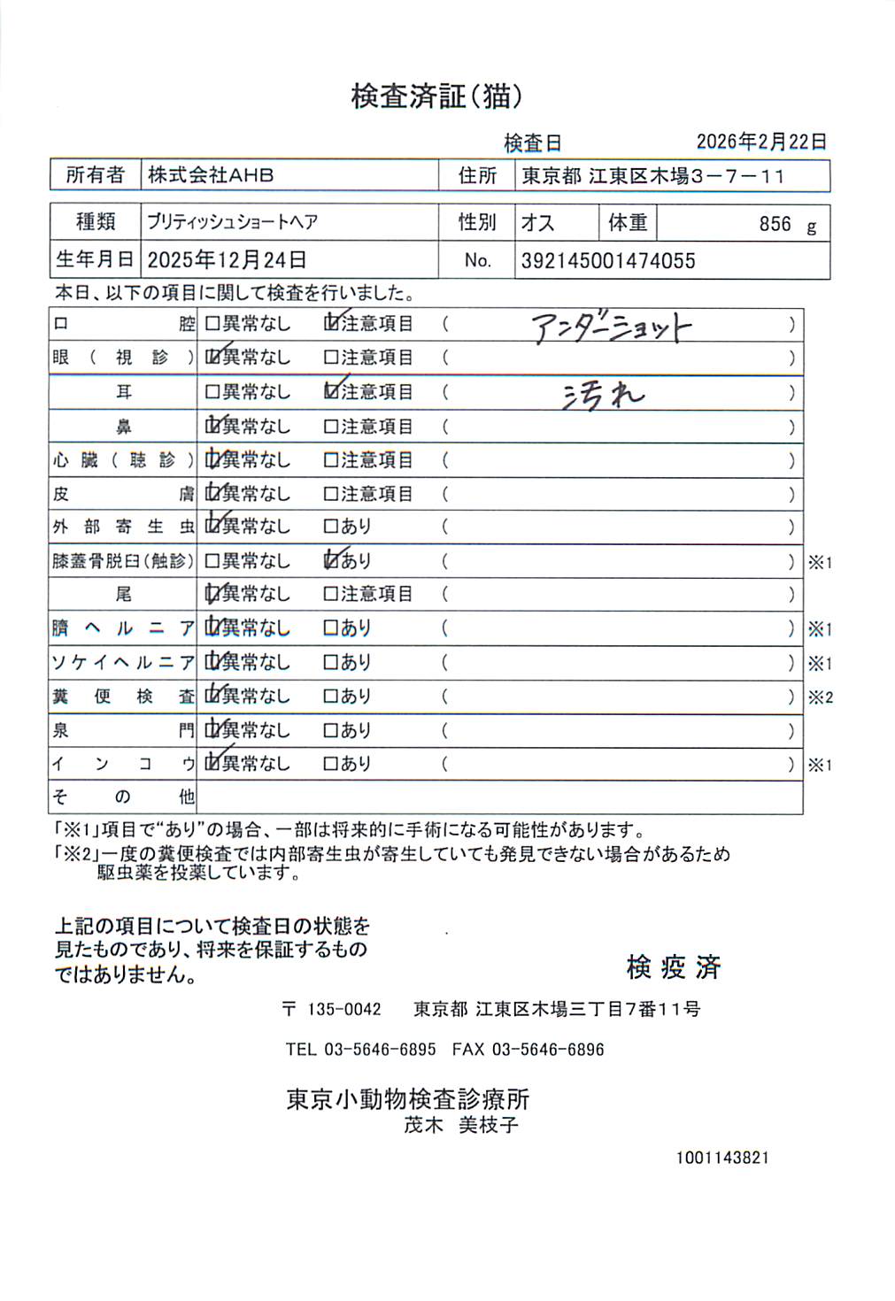 ブリティッシュショートヘア