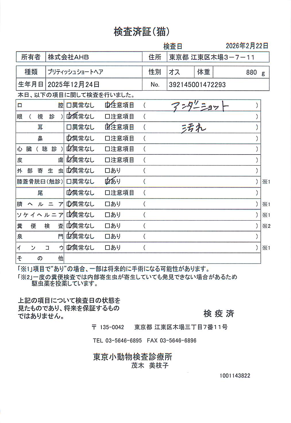 ブリティッシュショートヘア