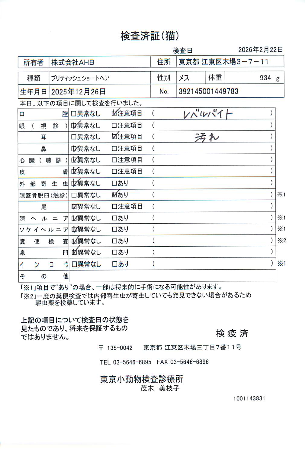 ブリティッシュショートヘア