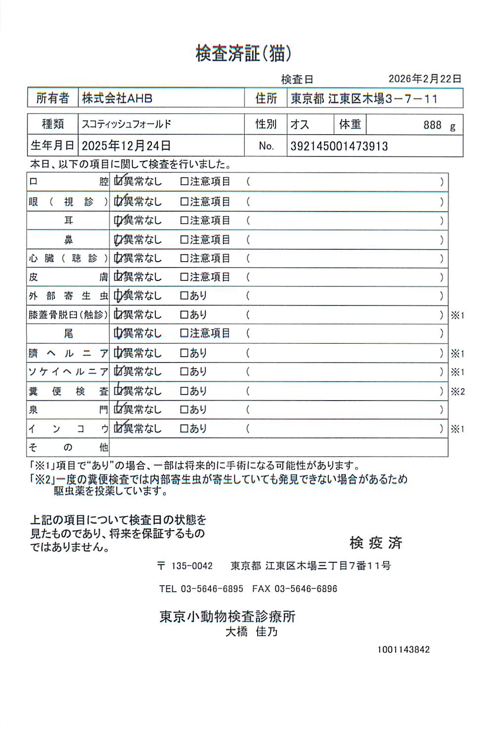 スコティッシュフォールド