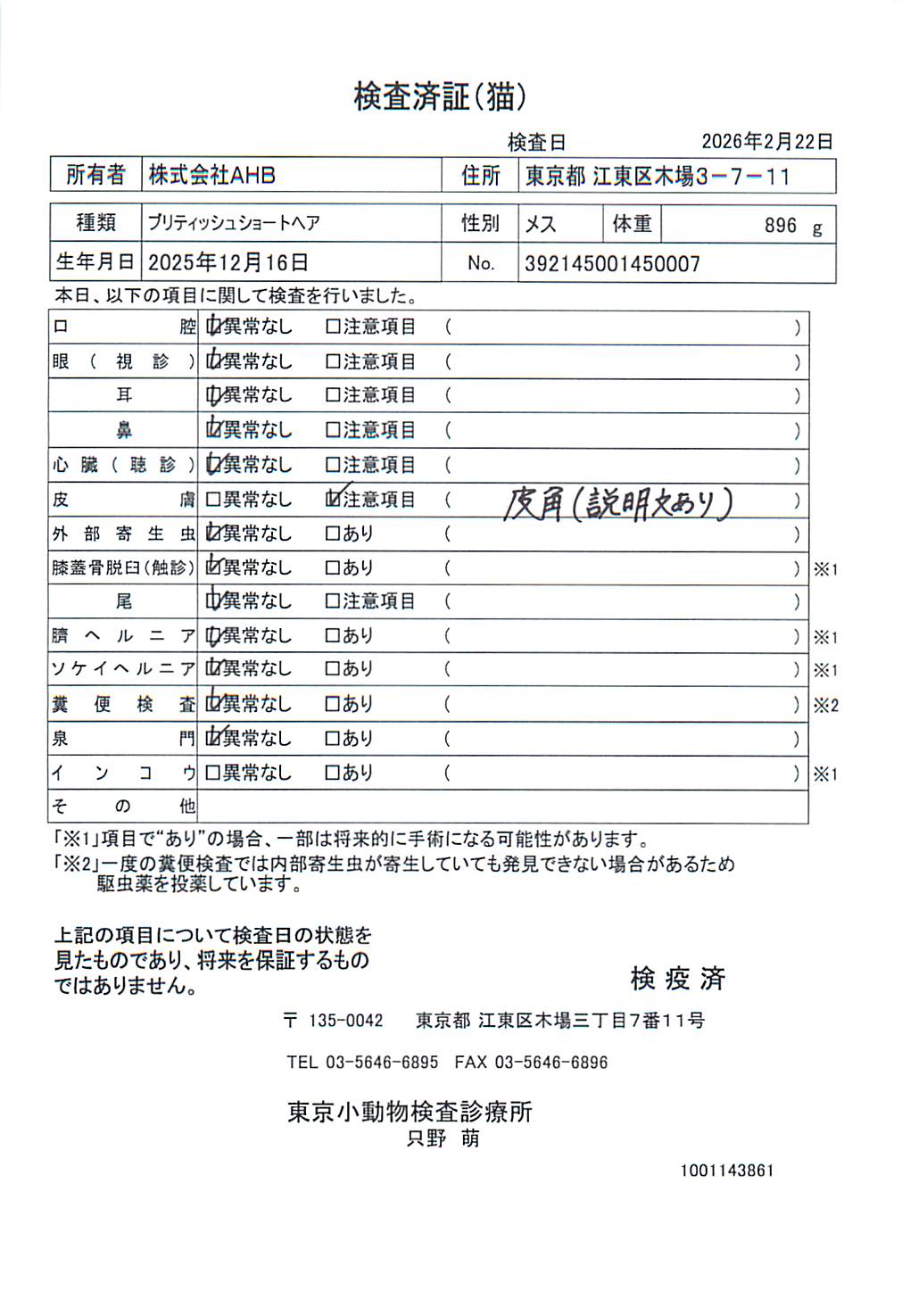 ブリティッシュショートヘア