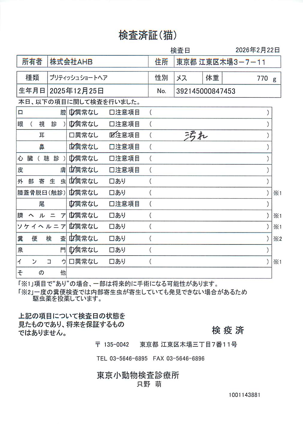 ブリティッシュショートヘア