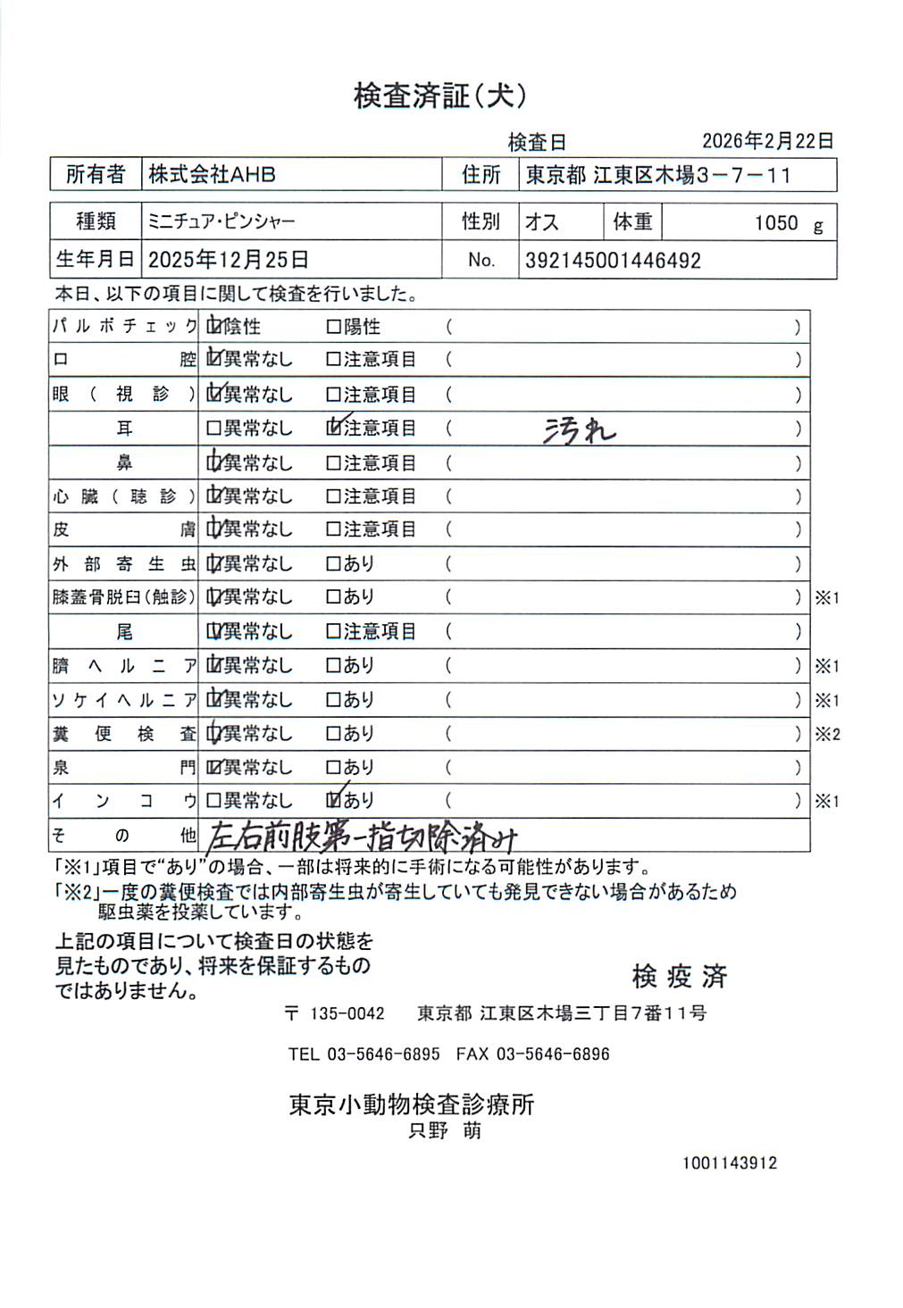 ミニチュア・ピンシャー