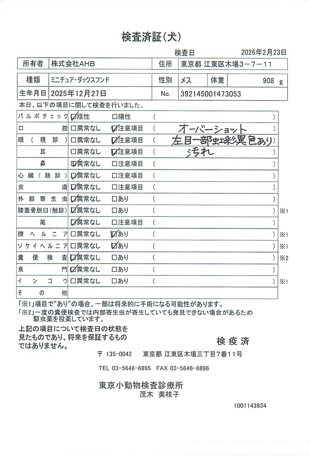 ミニチュア・ダックスフンド
