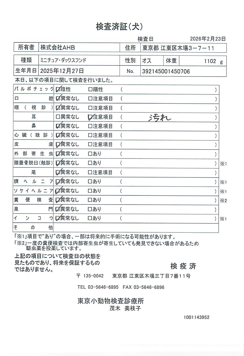 ミニチュア・ダックスフンド