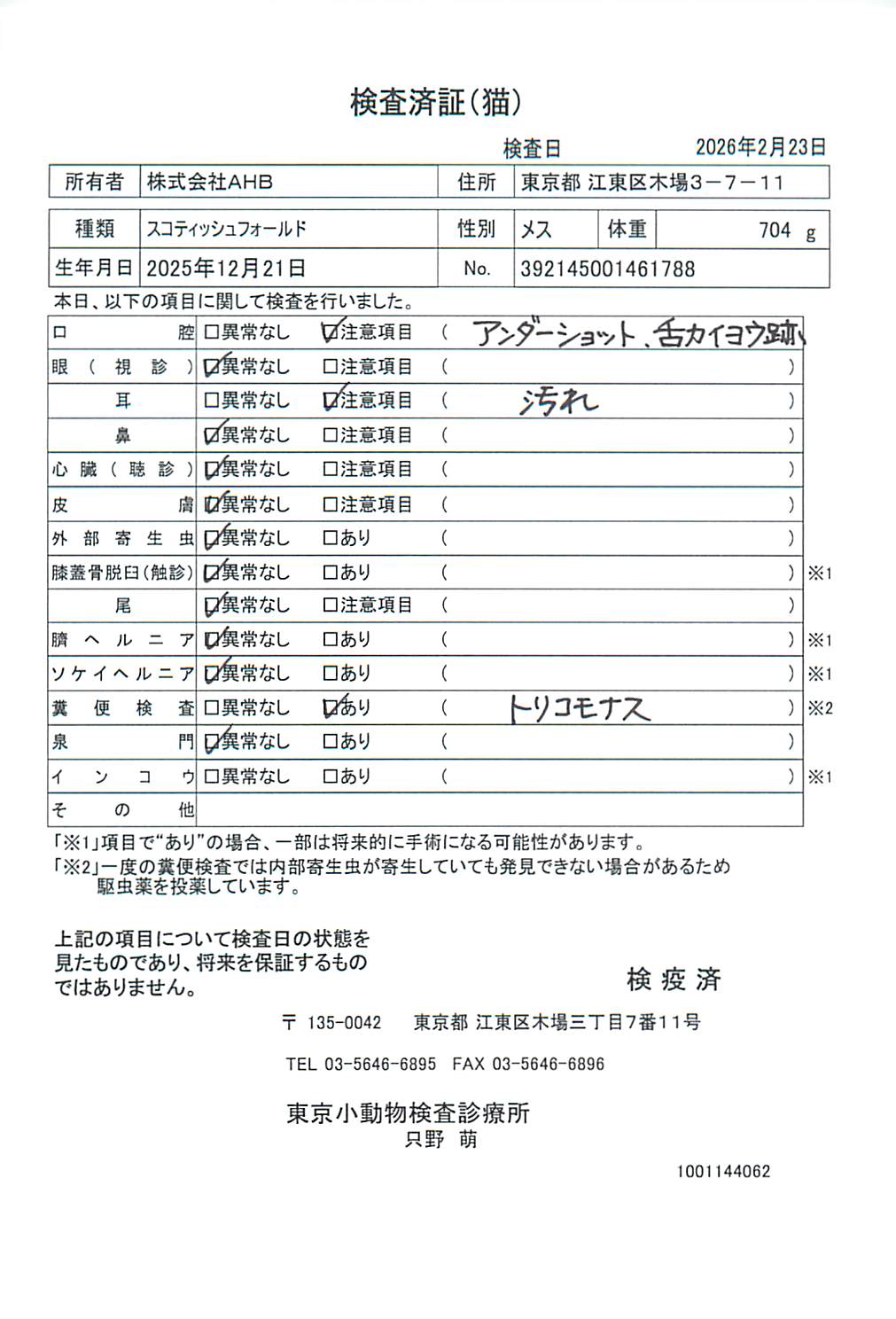 スコティッシュフォールド