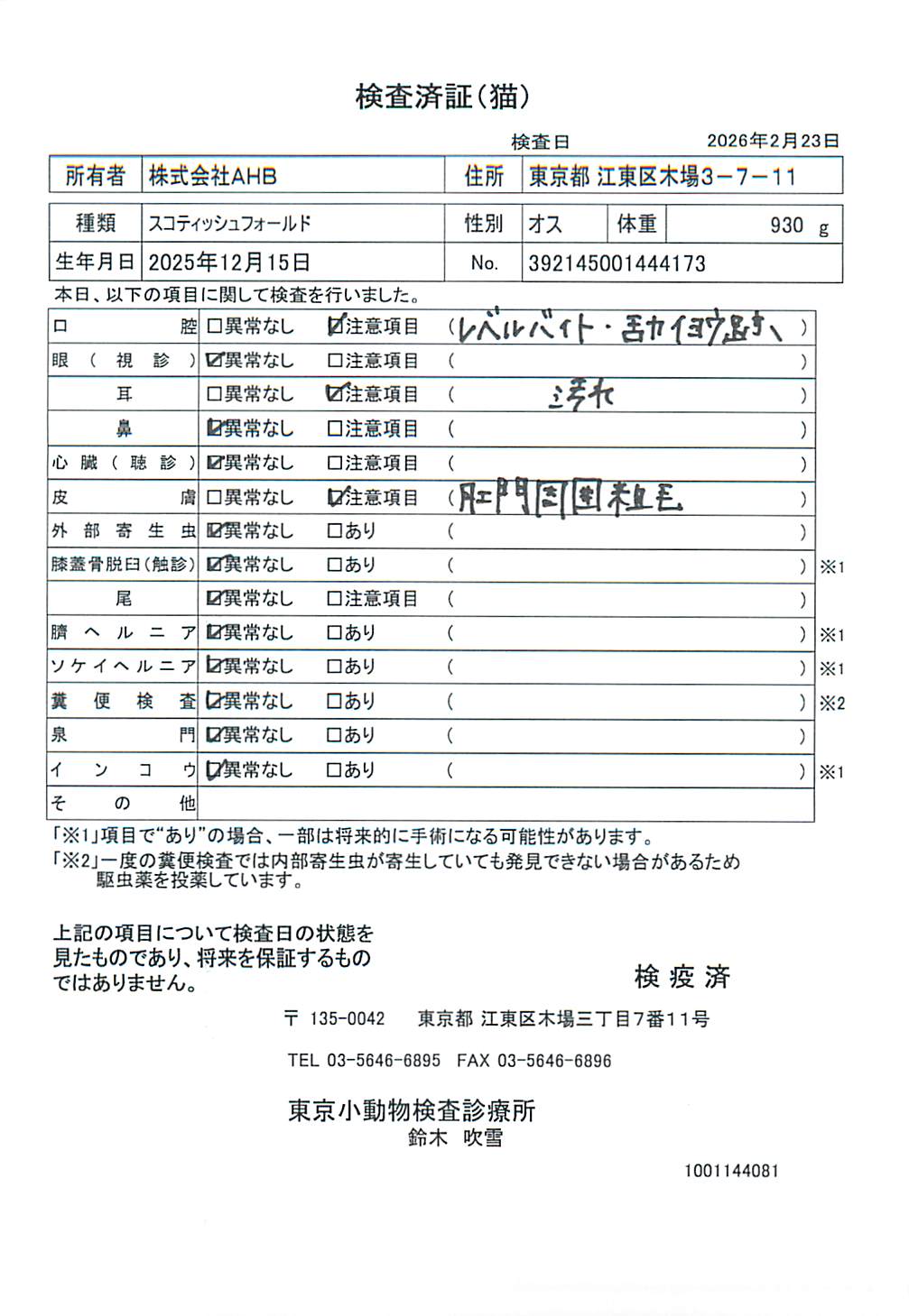 スコティッシュフォールド