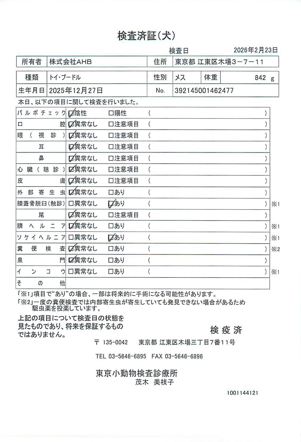 トイ・プードル