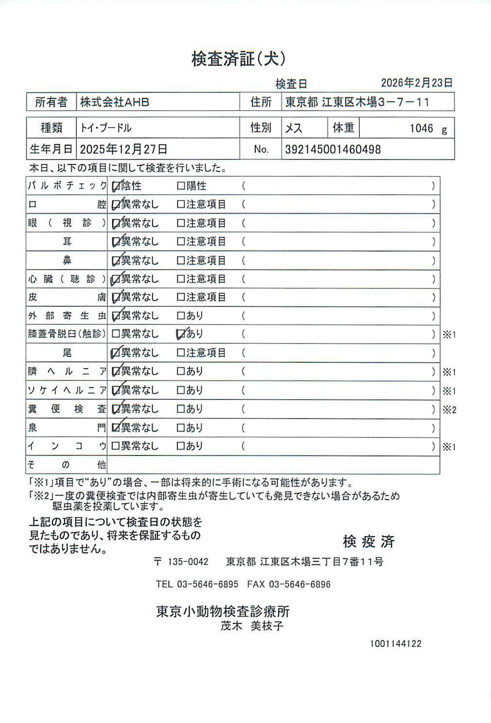 トイ・プードル