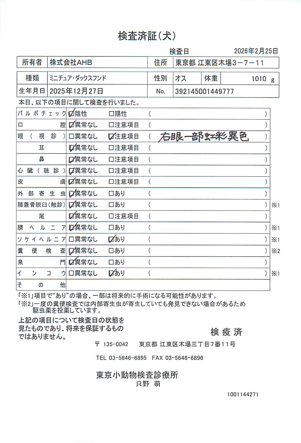 ミニチュア・ダックスフンド