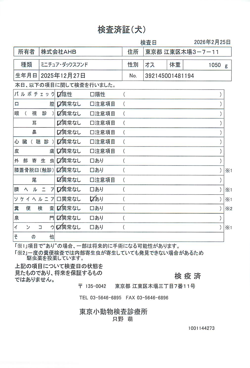 ミニチュア・ダックスフンド