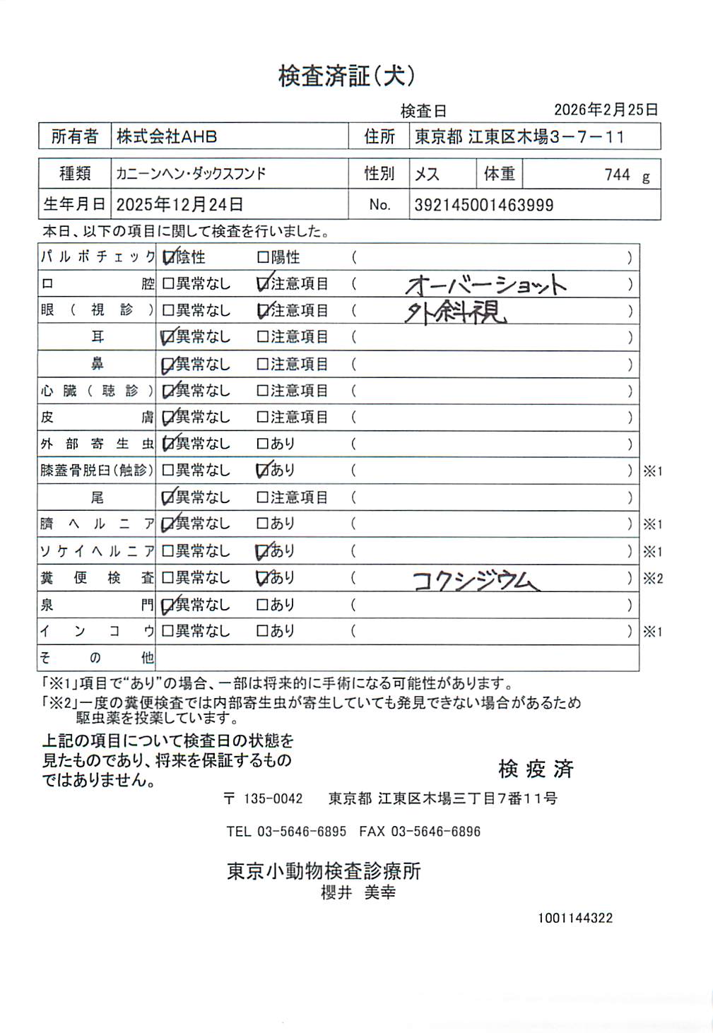 カニーンヘン・ダックスフンド