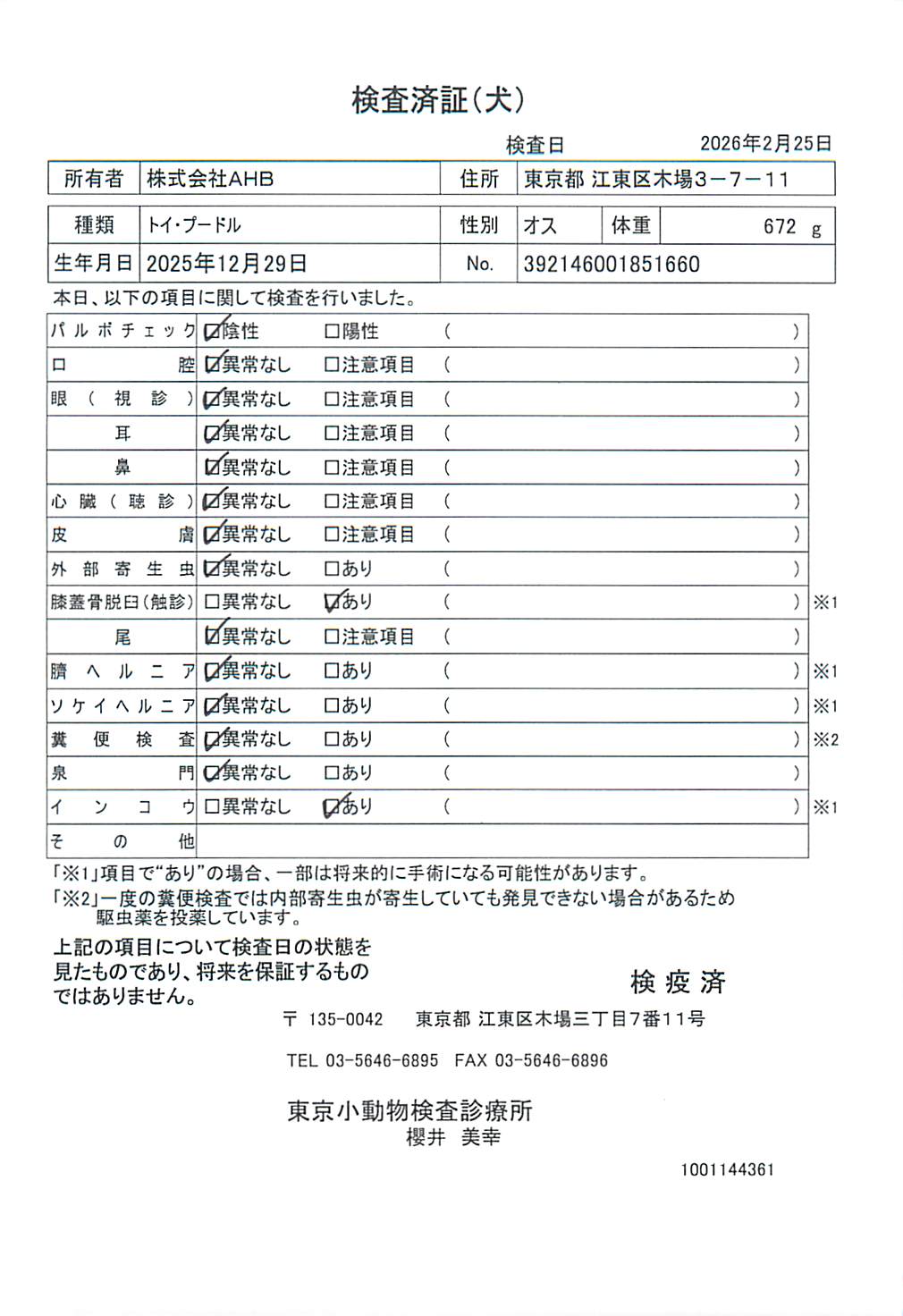 トイ・プードル
