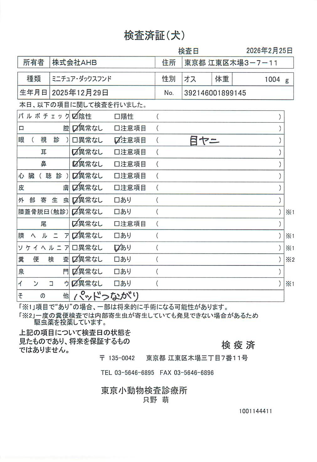 ミニチュア・ダックスフンド