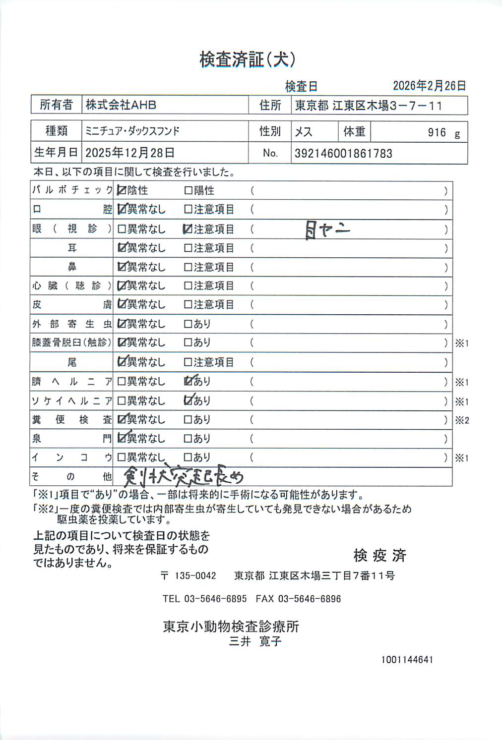 ミニチュア・ダックスフンド