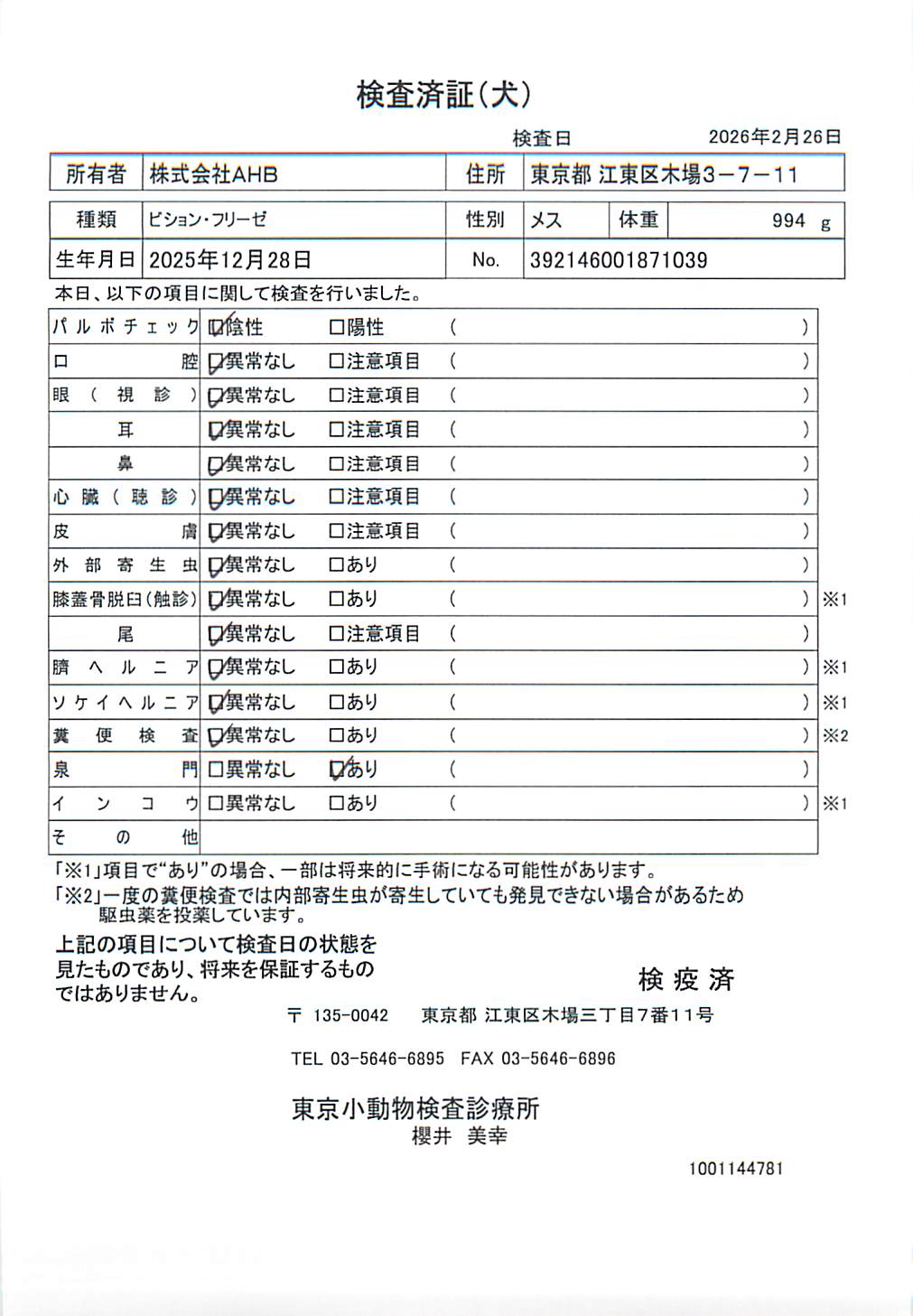 ビション・フリーゼ