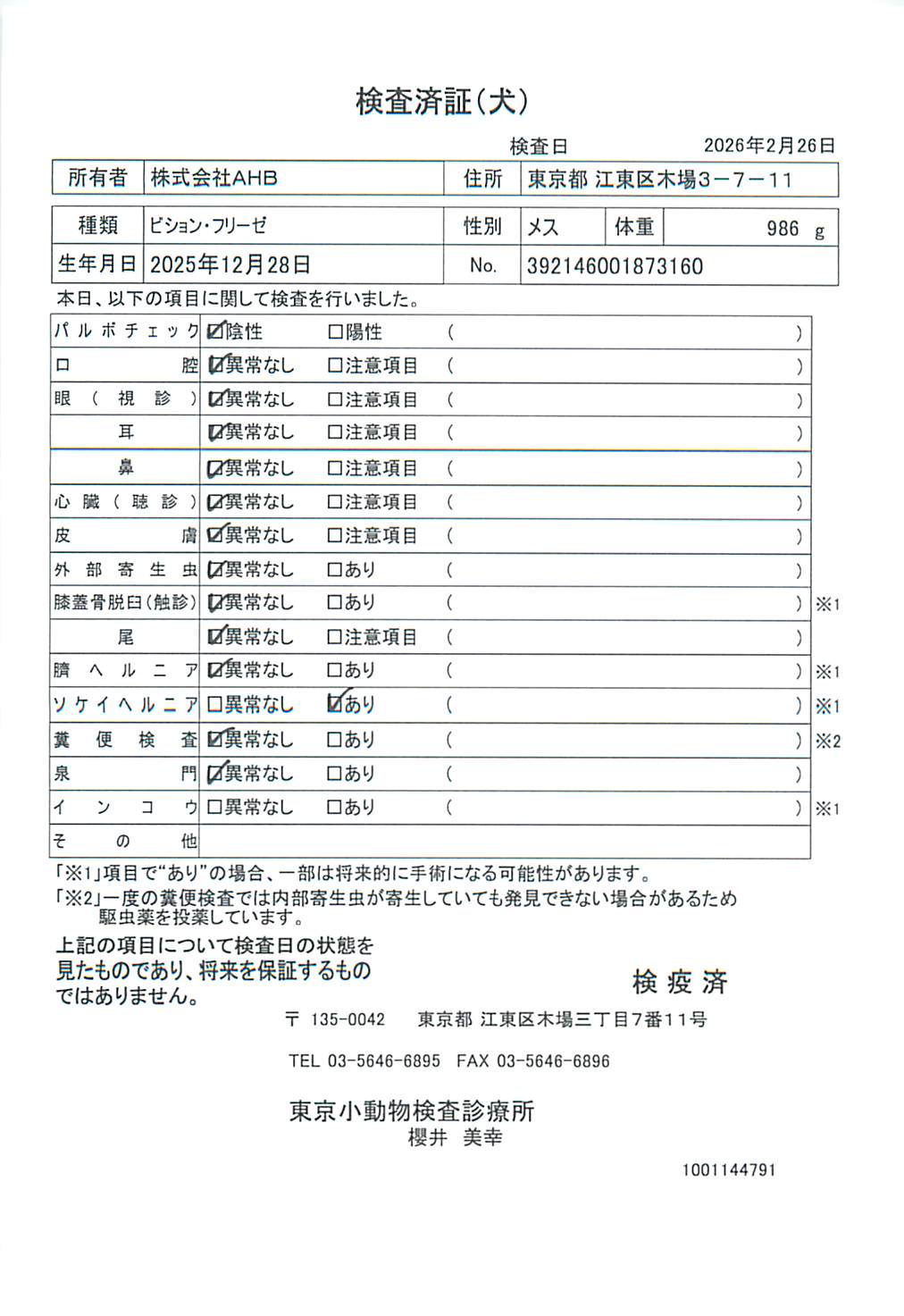 ビション・フリーゼ