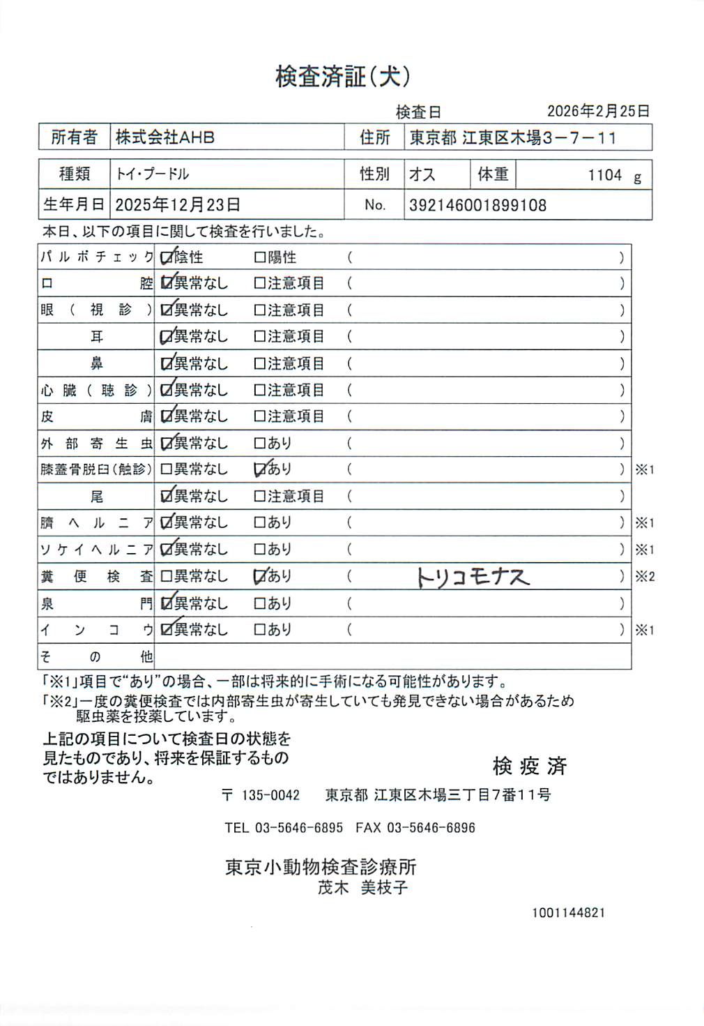 トイ・プードル
