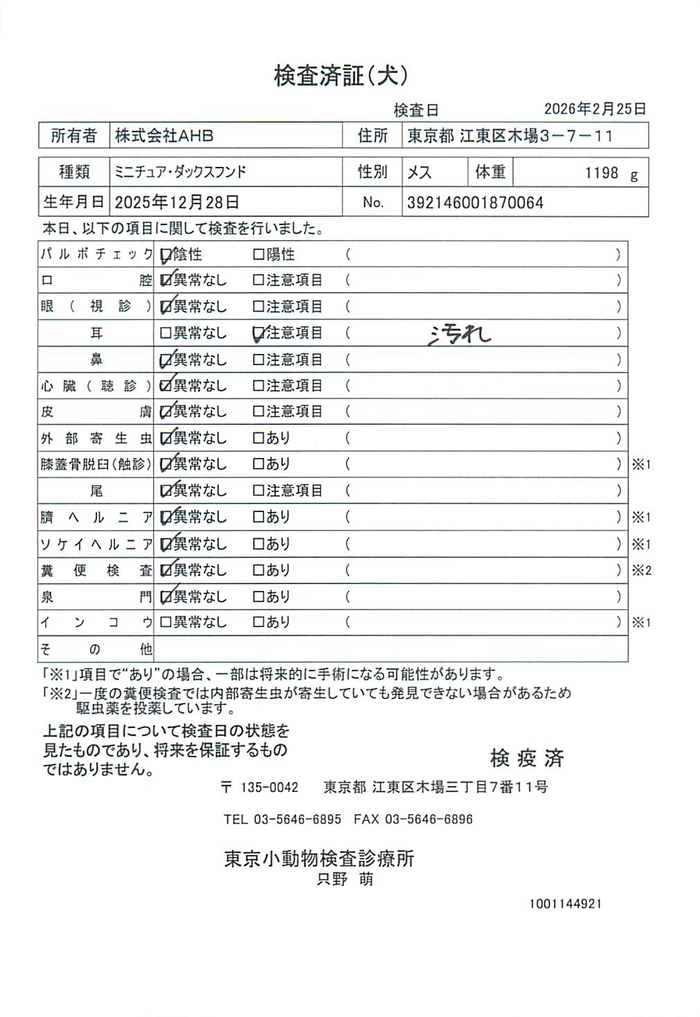 ミニチュア・ダックスフンド