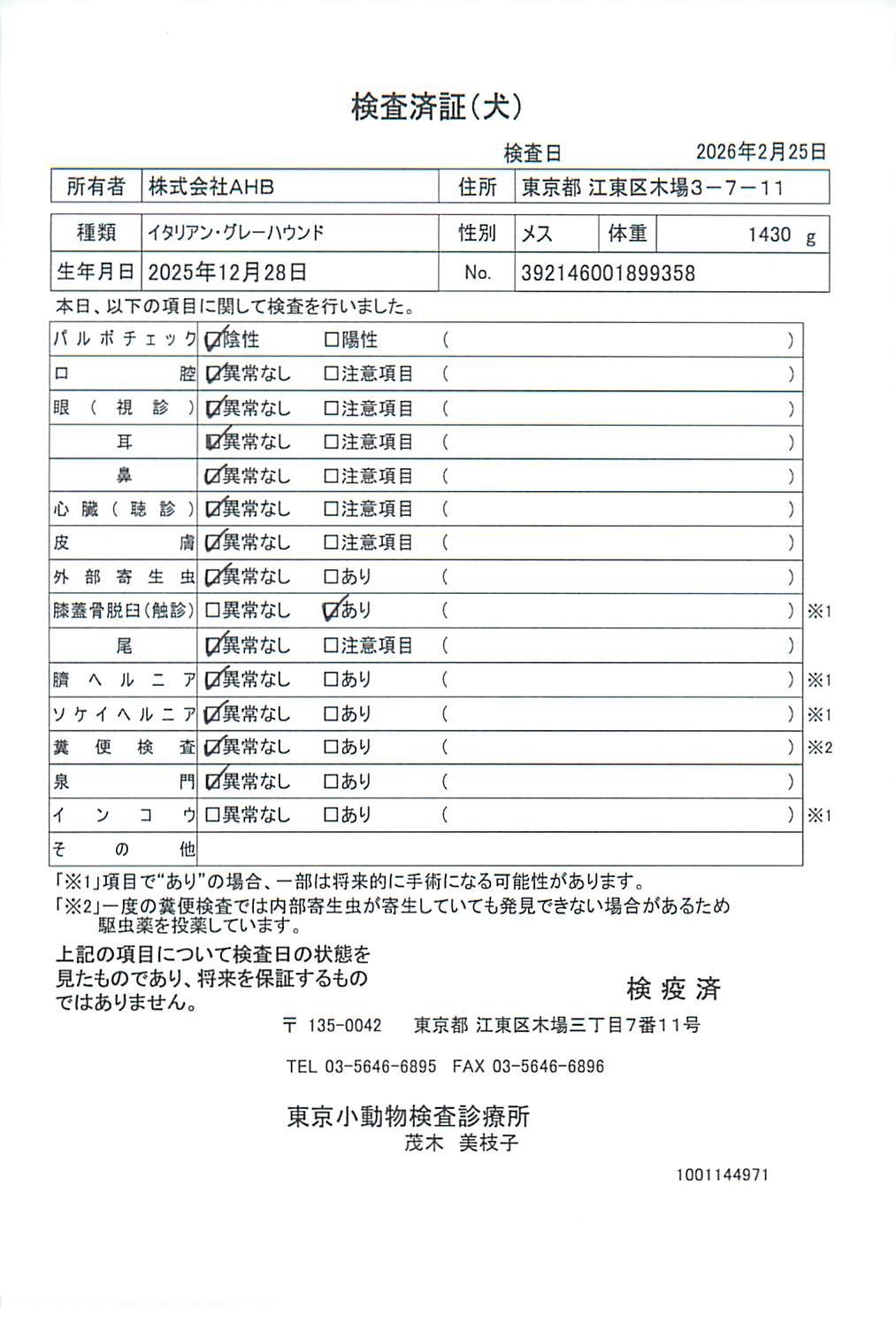 イタリアン・グレーハウンド