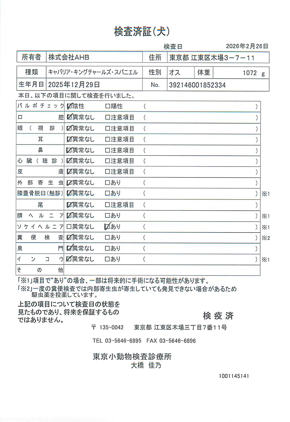 キャバリア・キングチャールズ・スパニエル