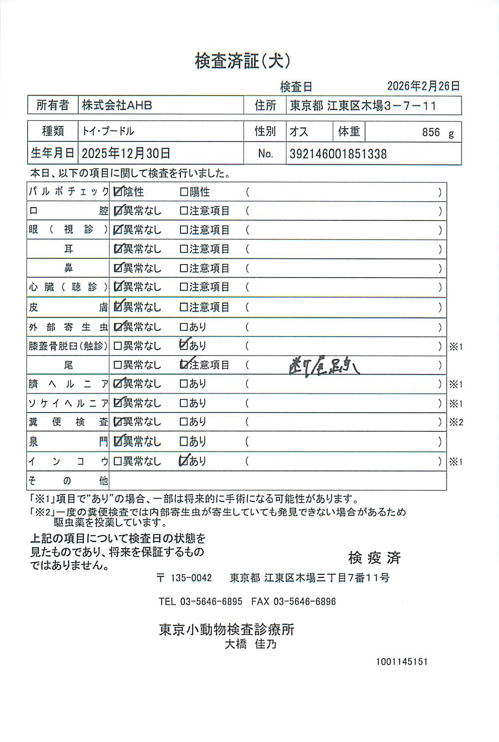 トイ・プードル