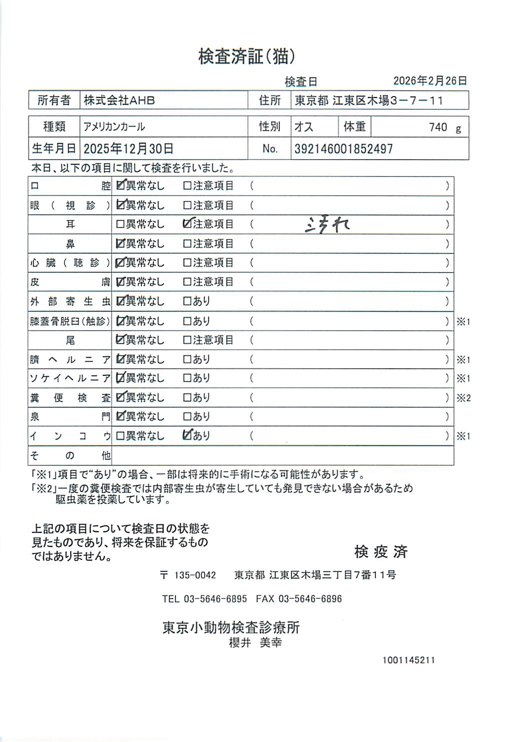 アメリカンカール