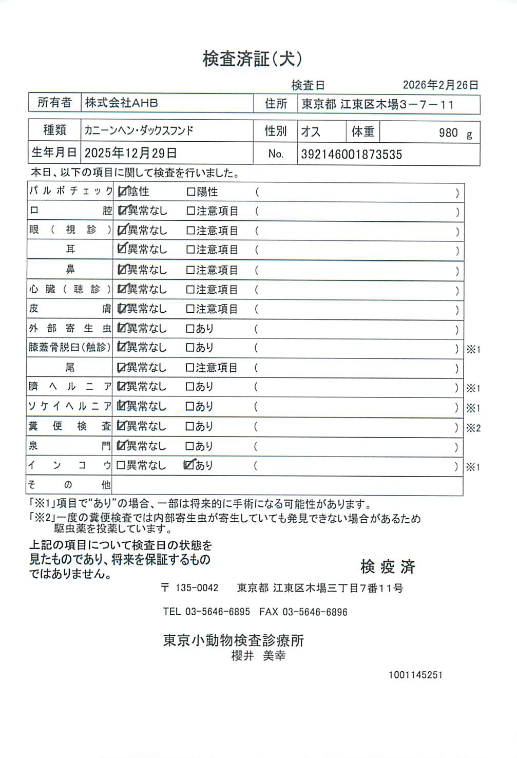 カニーンヘン・ダックスフンド