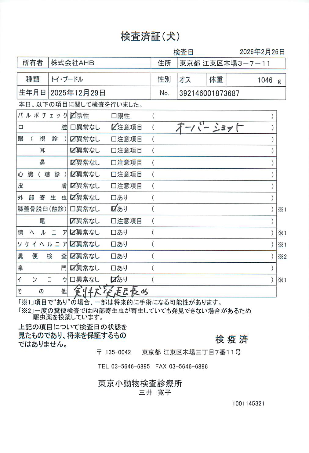 トイ・プードル