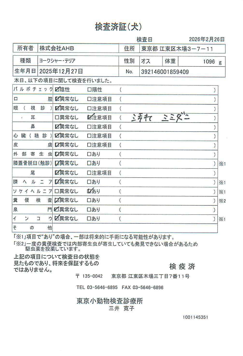 ヨークシャー・テリア