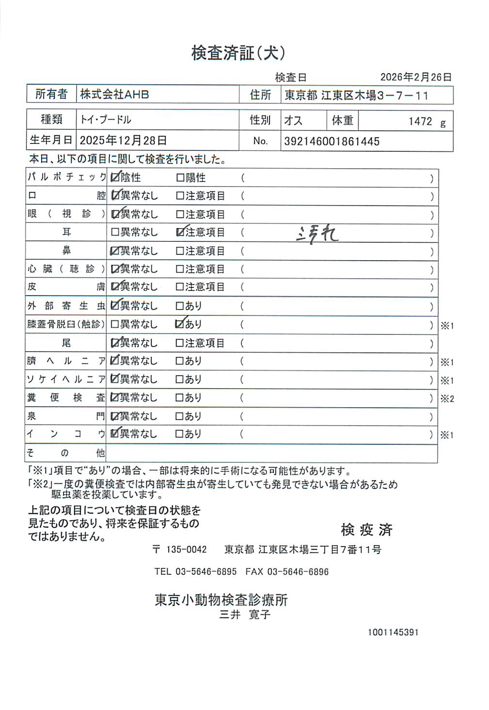 トイ・プードル