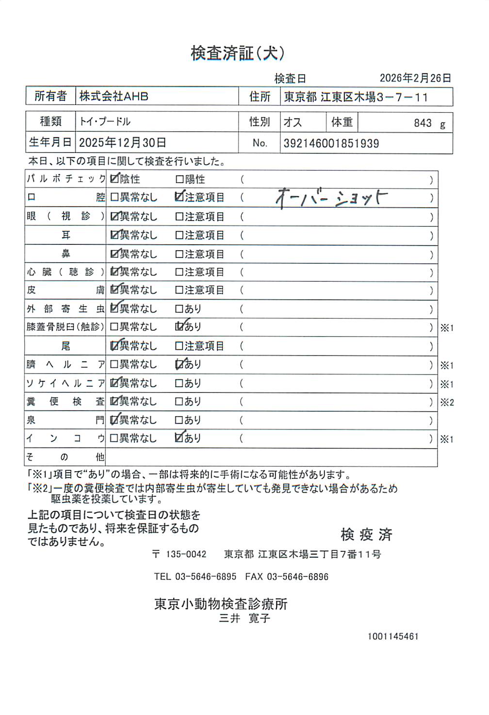 トイ・プードル
