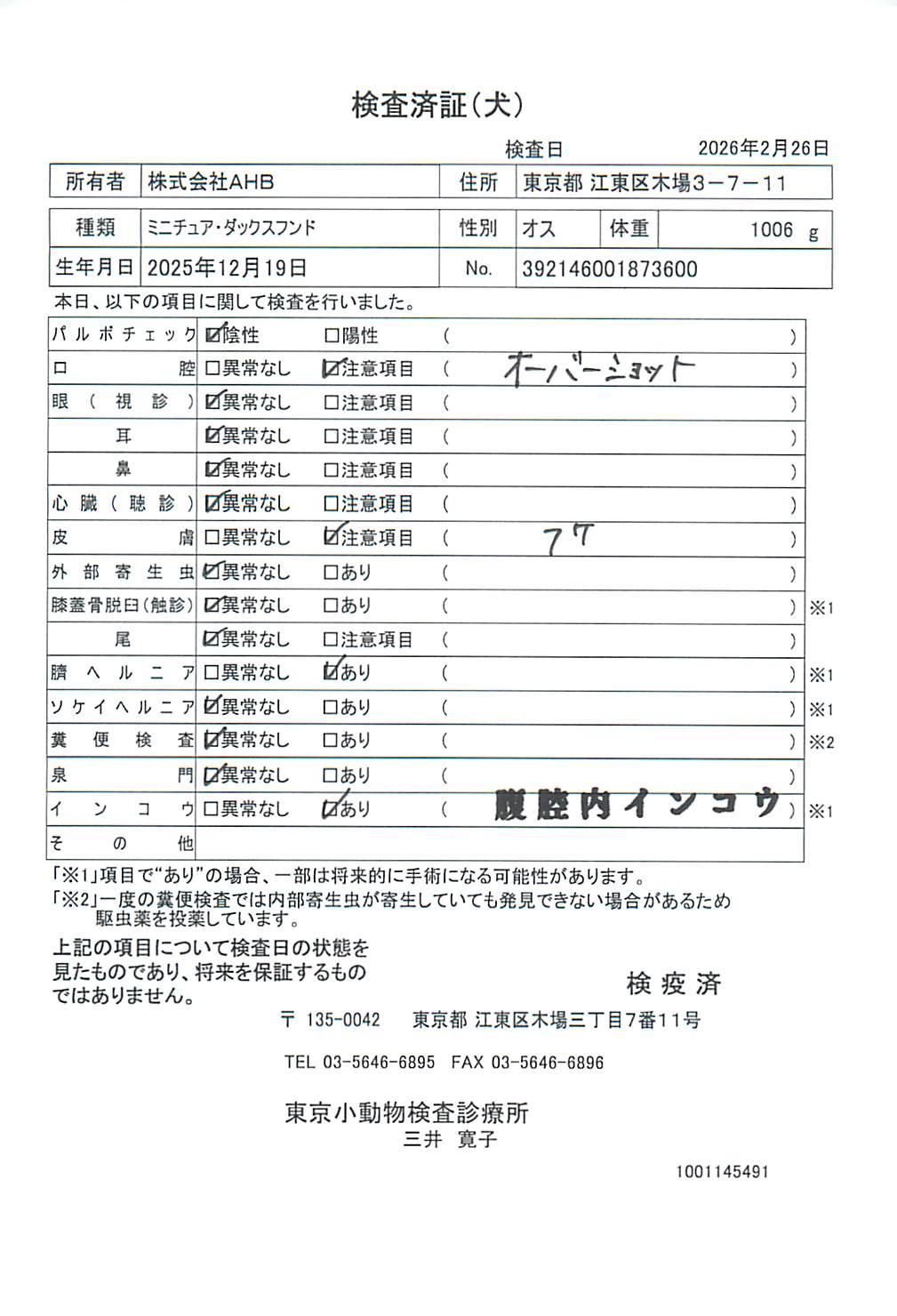 ミニチュア・ダックスフンド