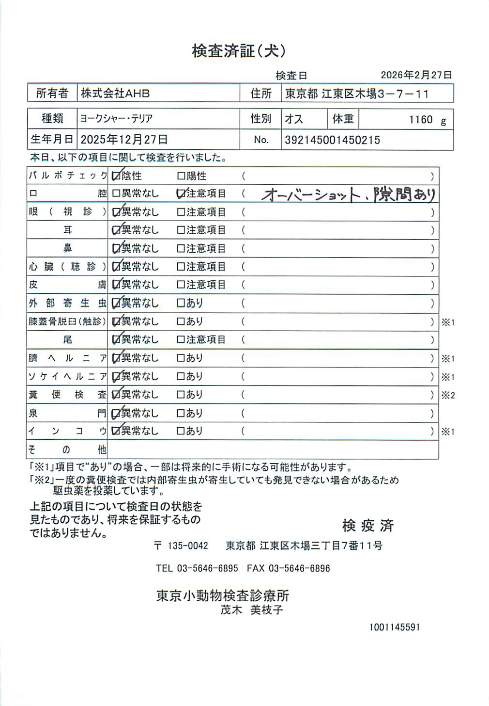 ヨークシャー・テリア