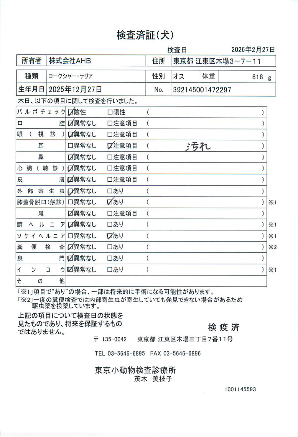 ヨークシャー・テリア