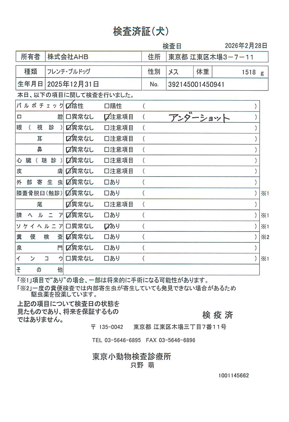 フレンチ・ブルドッグ