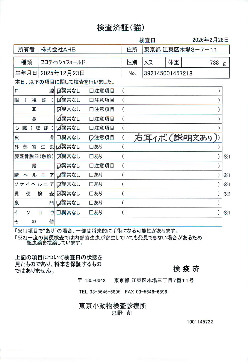 スコティッシュフォールド