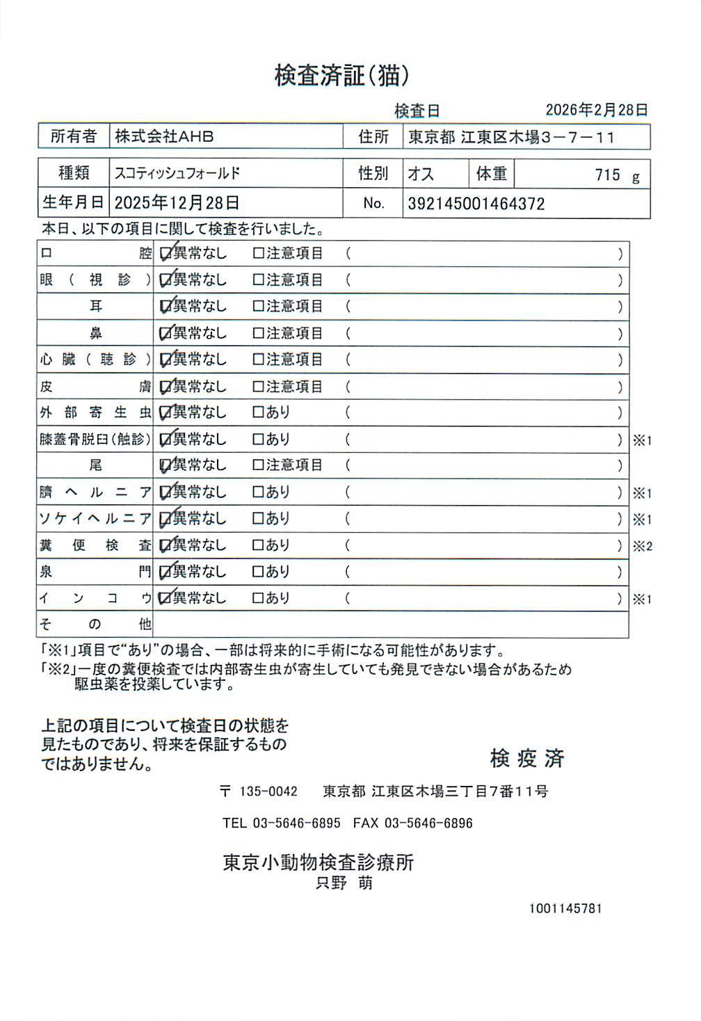 スコティッシュフォールド