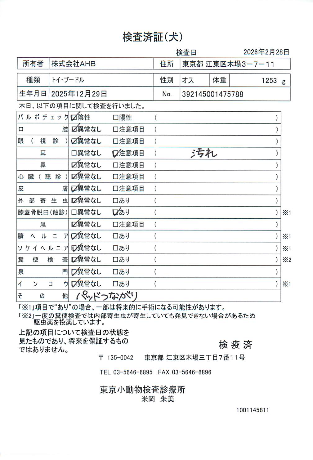 トイ・プードル