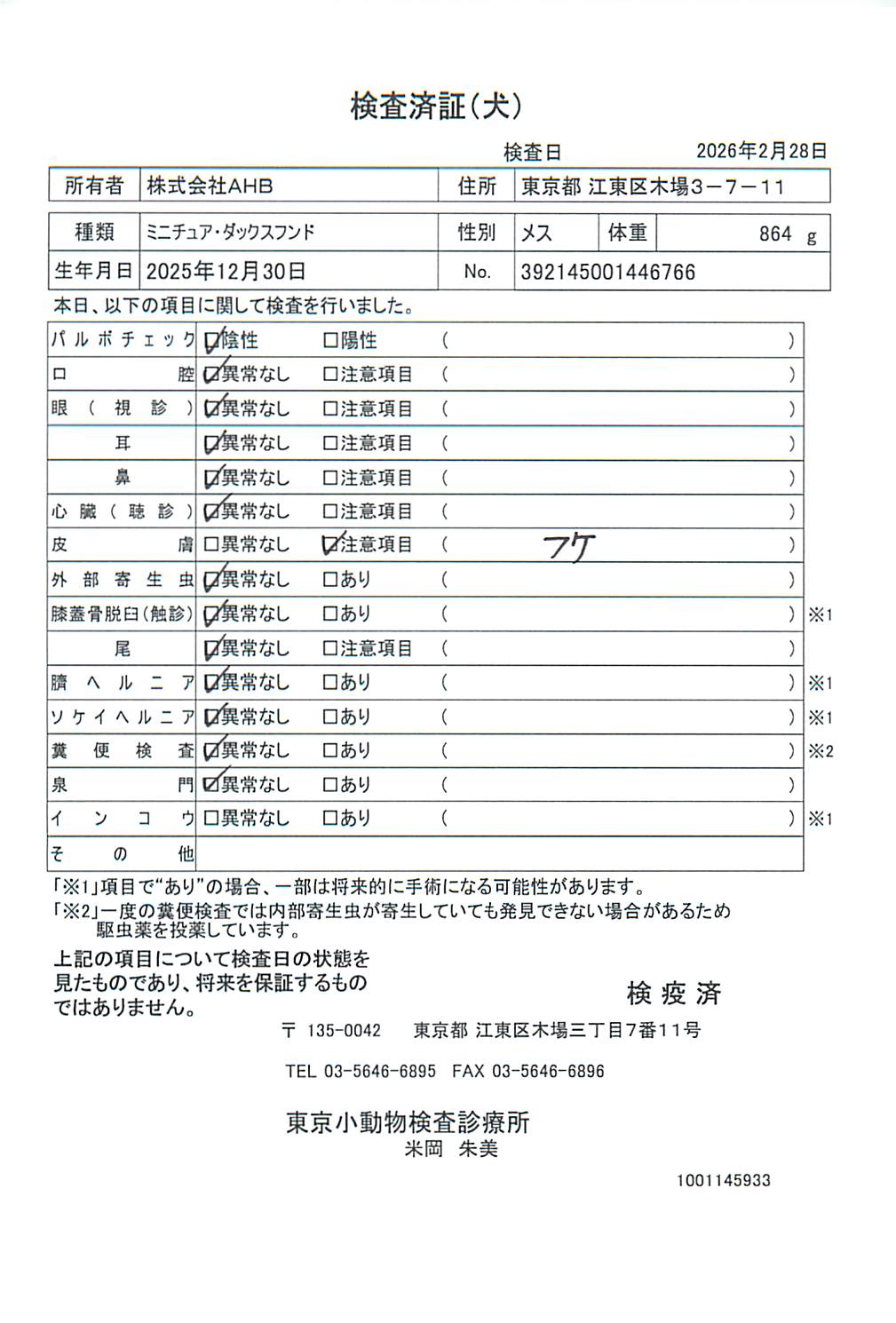 ミニチュア・ダックスフンド
