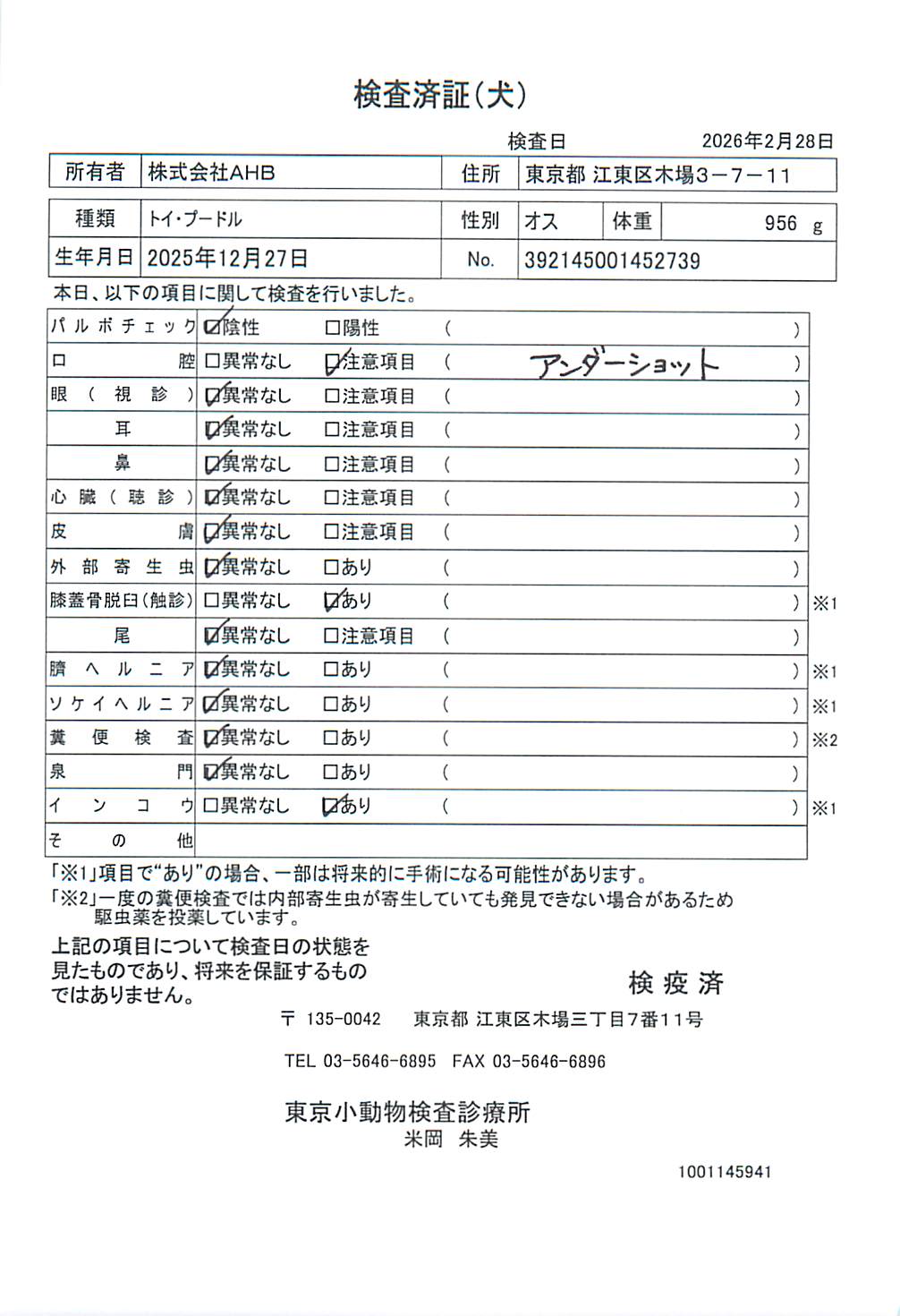 トイ・プードル
