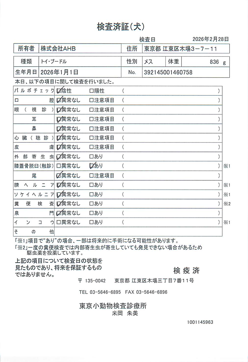 トイ・プードル