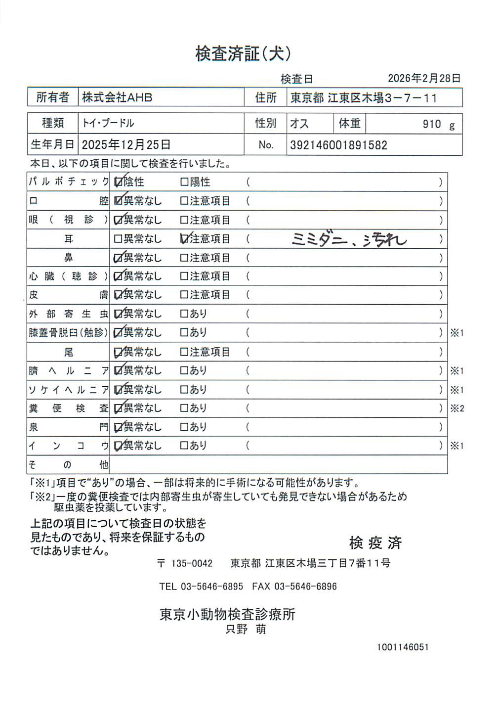 トイ・プードル
