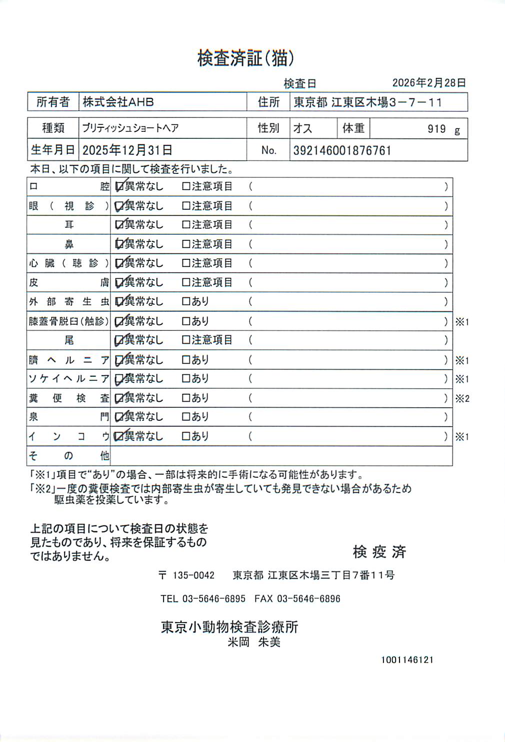 ブリティッシュショートヘア